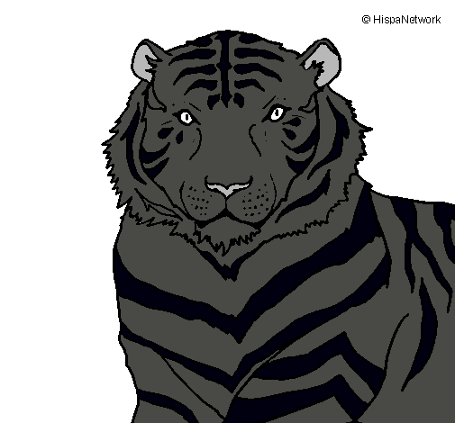 Dibujo Tigre pintado por xandres