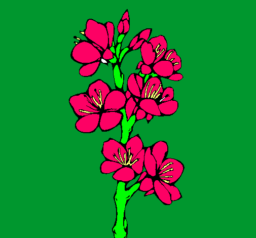 Dibujo Flores de campo pintado por vlentinita