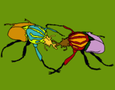Dibujo Escarabajos pintado por POOMRule