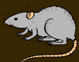 Dibujo Rata subterráena pintado por H-L-v