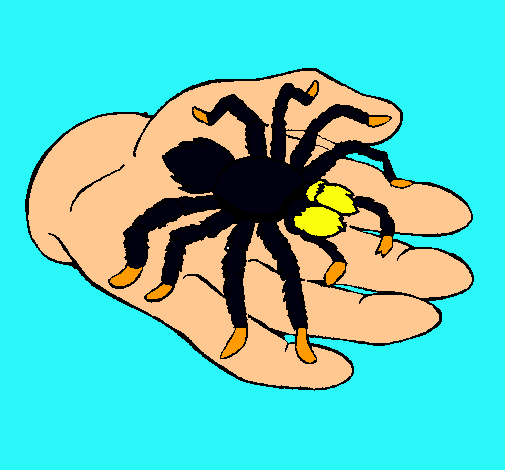 Tarántula