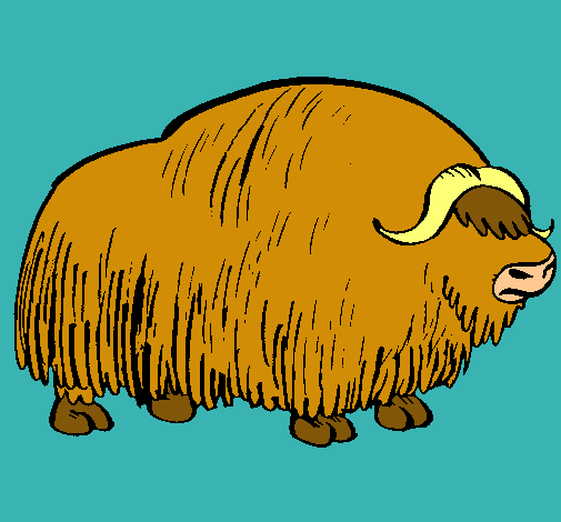 Bisonte