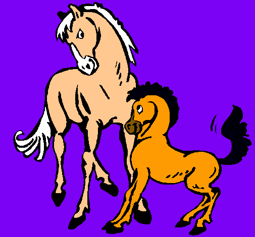 Caballos