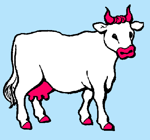 Vaca