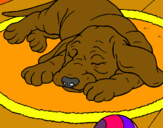 Dibujo Perro durmiendo pintado por sandra4567