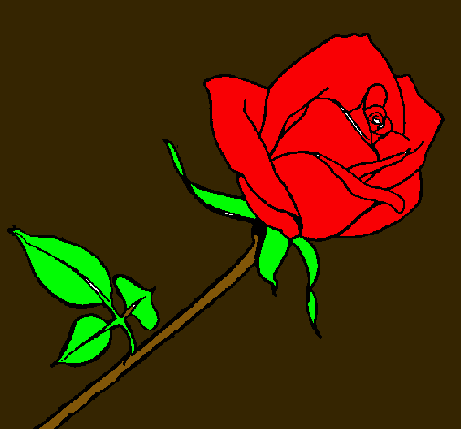 Rosa