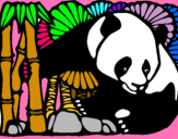 Dibujo Oso panda y bambú pintado por sina