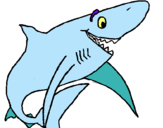Dibujo Tiburón alegre pintado por coly