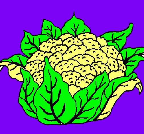 coliflor