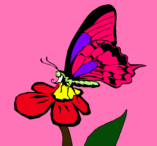 Mariposa en una flor