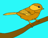Dibujo Pájarito pintado por emilioo