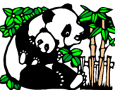 Dibujo Mama panda pintado por nuriarocaa