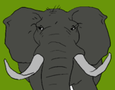 Dibujo Elefante africano pintado por camidi