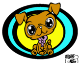 Dibujo Perrito Littlest Pet Shop pintado por cele02