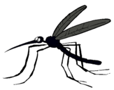 Dibujo Mosquito pintado por artesus