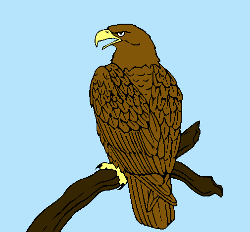 Dibujo de Águila en una rama pintado por Aguilas en  el día  17-02-12 a las 03:04:40. Imprime, pinta o colorea tus propios dibujos!