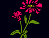 Dibujo Flores de campo pintado por 060744