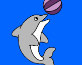 Dibujo Delfín jugando con una pelota pintado por mikeyla