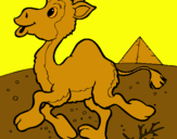 Dibujo Camello pintado por cazadorcin