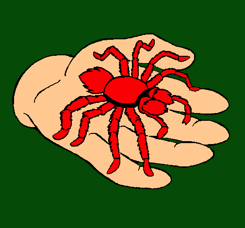 Tarántula