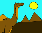 Dibujo Camello pintado por marco2