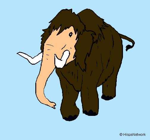 Mamut II