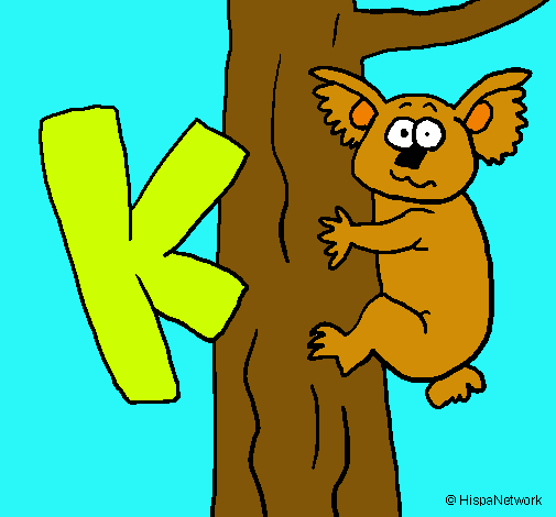 Koala