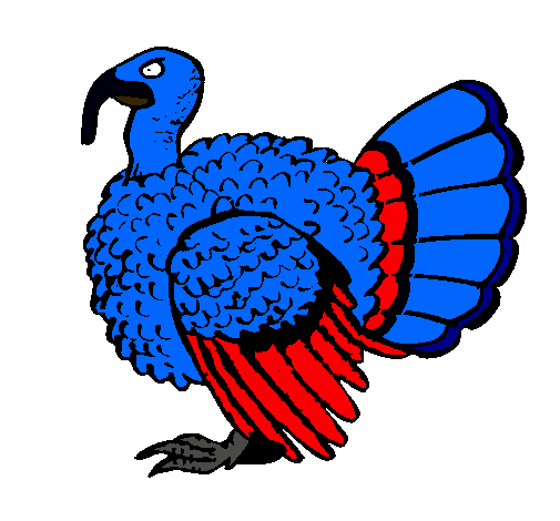 Pavo 