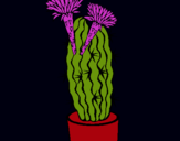 Dibujo Cactus con flores pintado por 060744