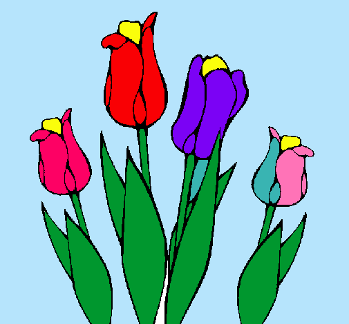 Tulipanes