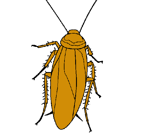Dibujo Cucaracha pintado por urielzaid