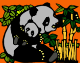 Dibujo Mama panda pintado por brujito