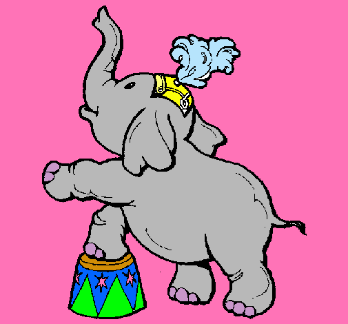 Elefante