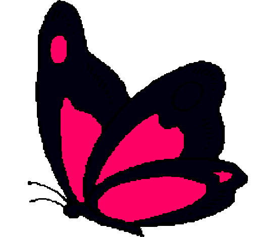 Mariposa