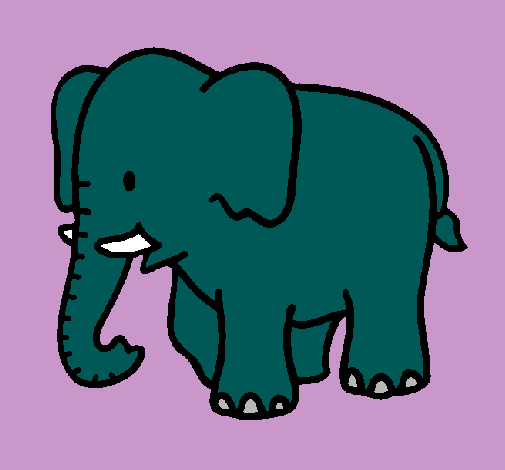 Dibujo Elefante bebe pintado por mikeyla
