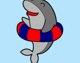 Dibujo Delfín con flotador pintado por delfincito