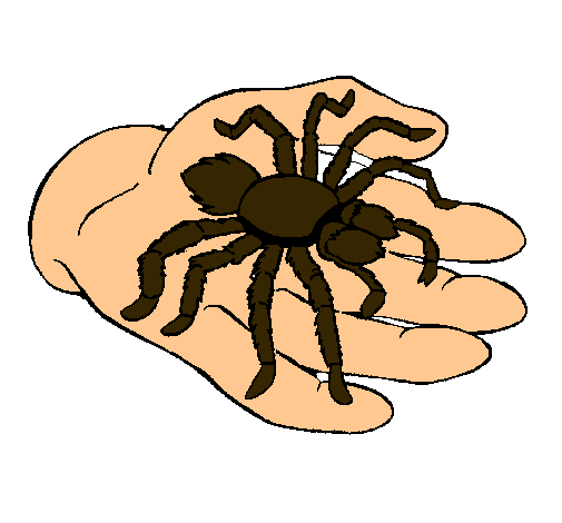 Tarántula