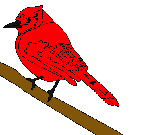 Dibujo Pájaro tropical pintado por urielzaid