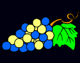 Dibujo racimo pintado por ezeseba
