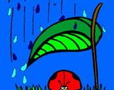 Dibujo Mariquita protegida de la lluvia pintado por Nuria2005