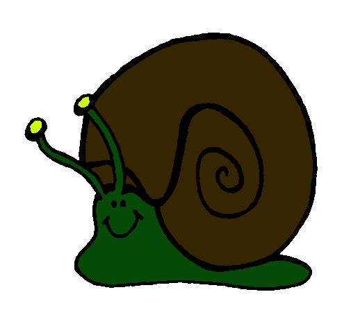 Caracol 