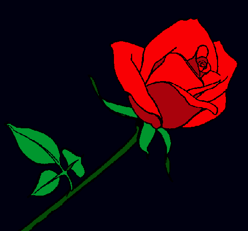 Rosa