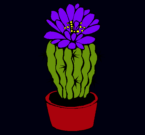 Cactus con flor