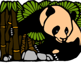 Dibujo Oso panda y bambú pintado por arturin