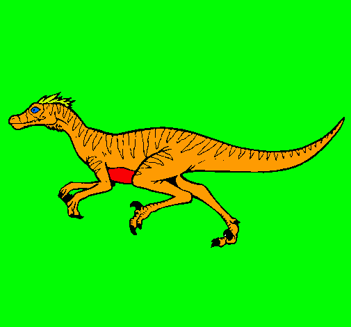 Velociraptor