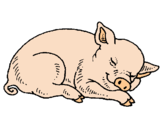 Dibujo Cerdo durmiendo pintado por t5dgy