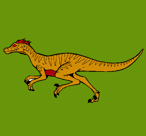 Velociraptor