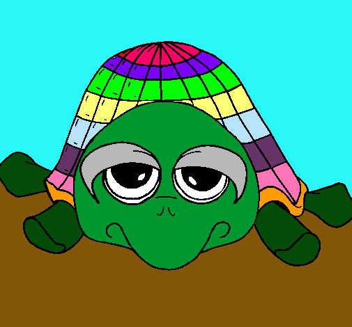 Tortuga