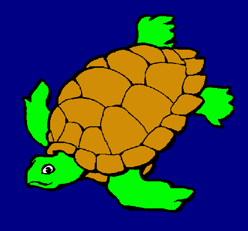 Tortuga