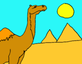 Dibujo Camello pintado por hasara